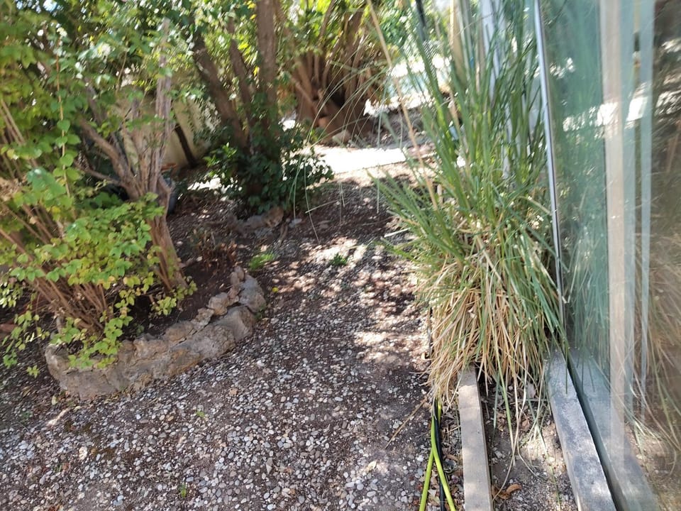 Arbre de vie Villa in Hyères