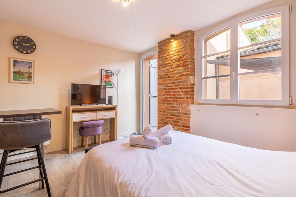 Le cocon Toulousain Apartment in Toulouse