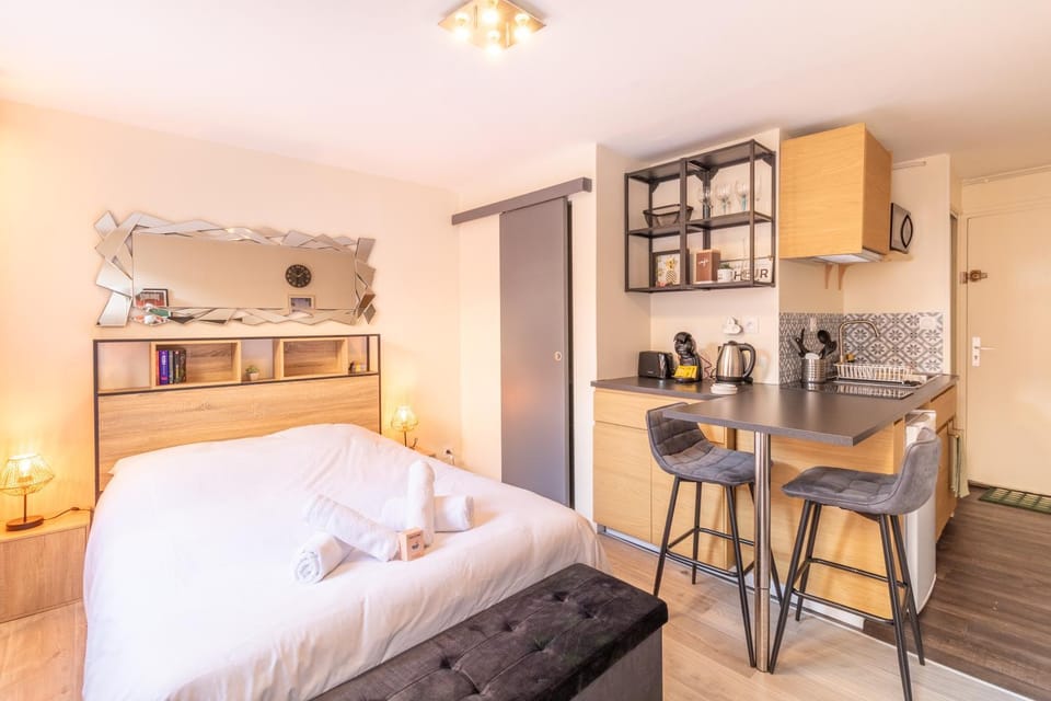 Le cocon Toulousain Apartment in Toulouse