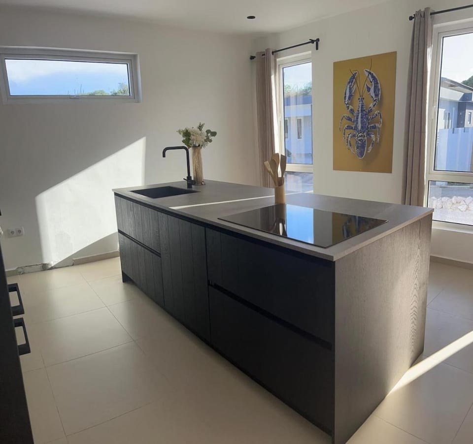 The luxury flamingo Villa in Jan Thiel