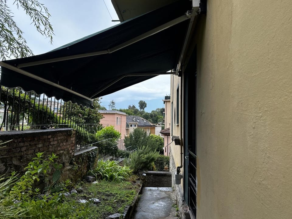 Property building, Day, Garden