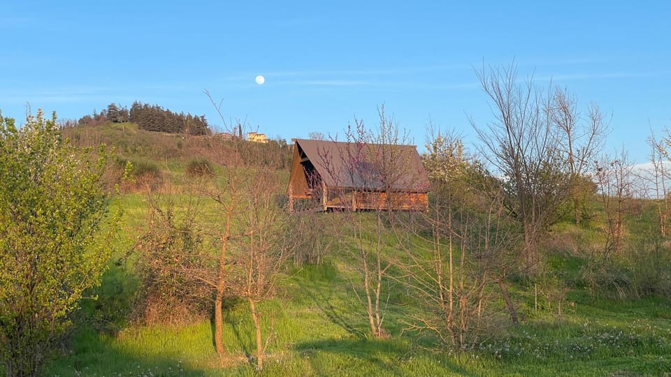 Natural landscape