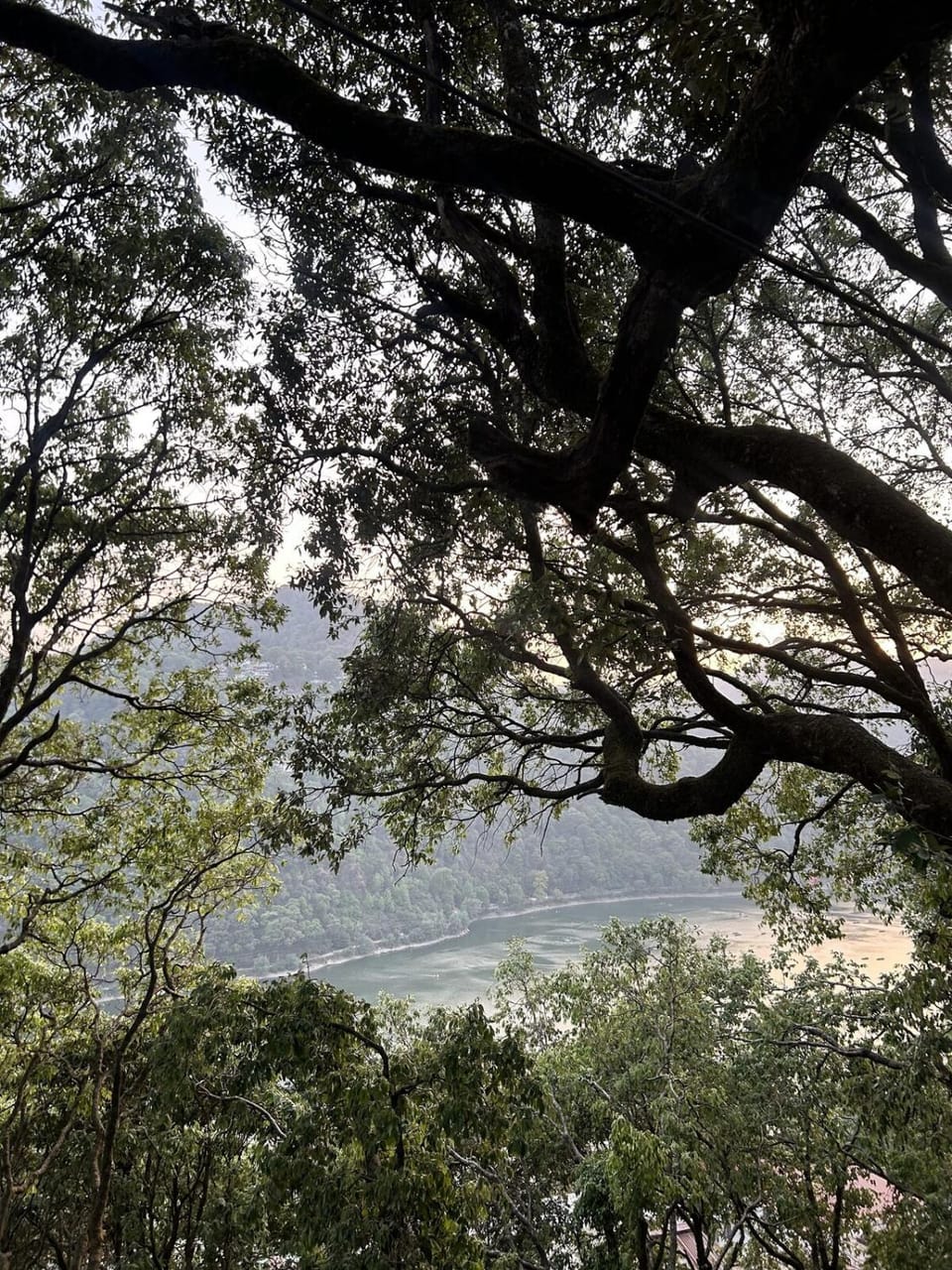 Zephyr 2BHK Lakeview Near Mall Road & Naini Lake Apartment in Uttarakhand