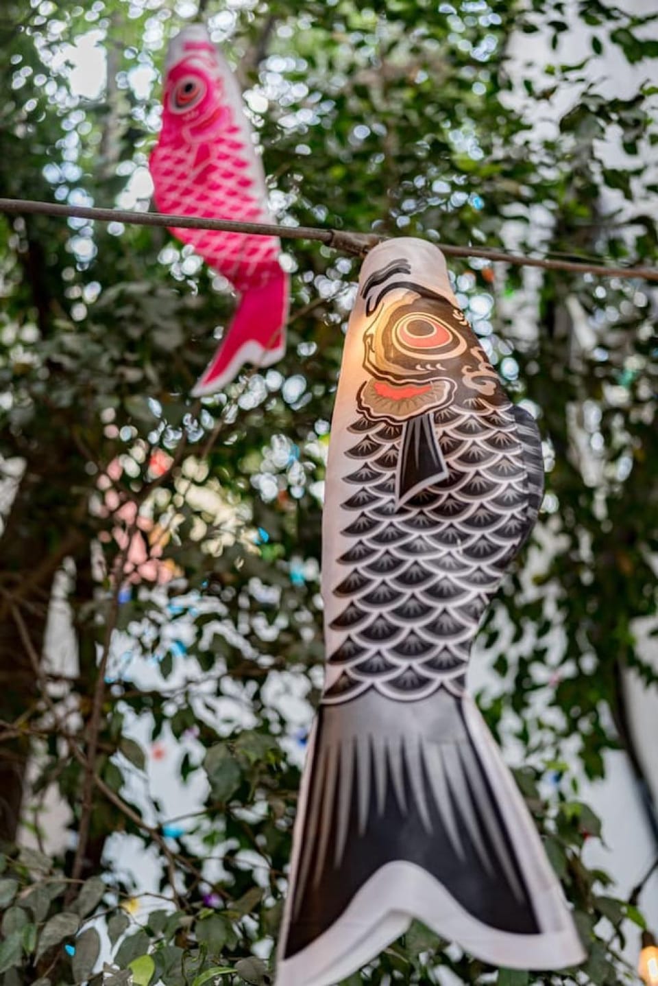 Spacious House with a Beautiful Garden House in Mexico City