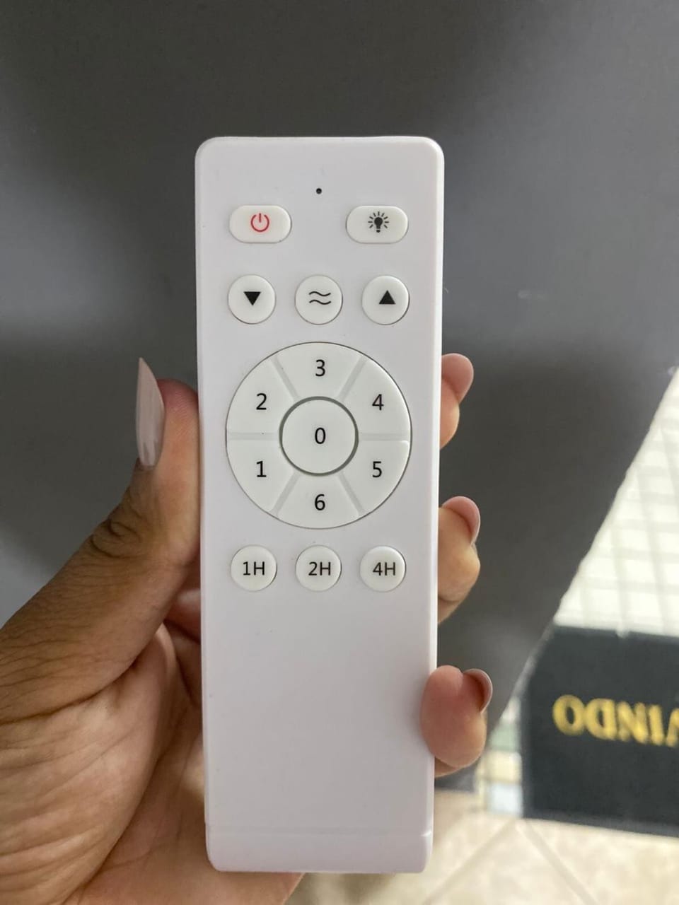 Apartamento Boqueirão pé na areia Apartment in State of São Paulo