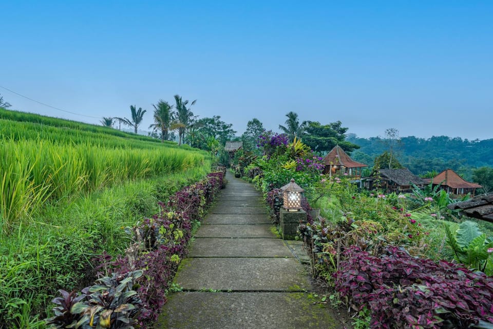 Spring, Day, Natural landscape, Garden, Garden view