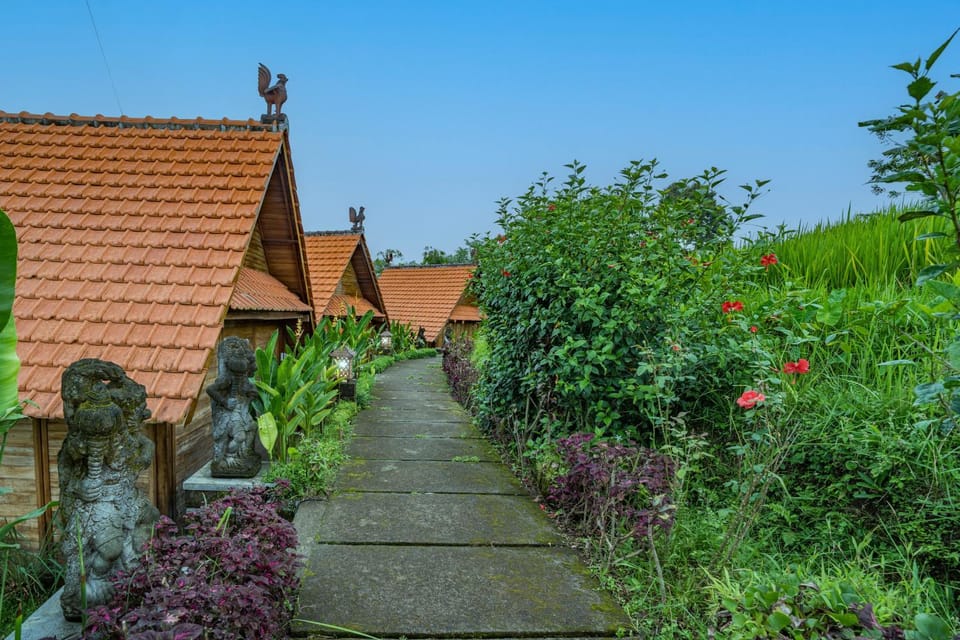 Spring, Day, Garden, Garden view