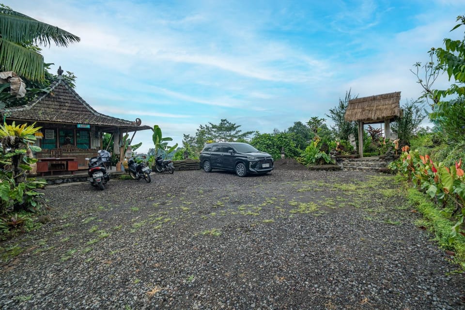 Natural landscape, Garden, Garden view, Parking