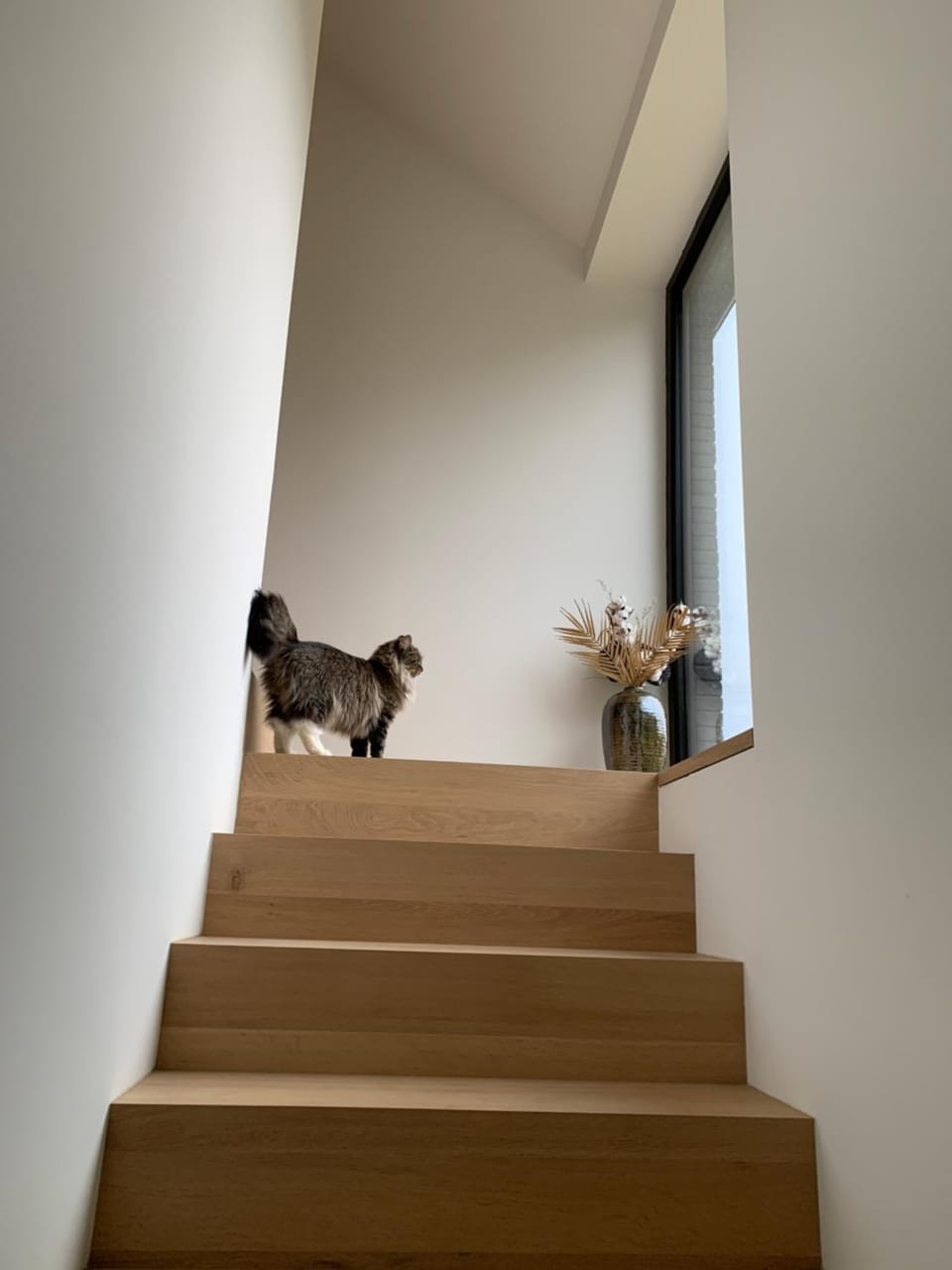Le Franco35 Bed and Breakfast in Wallonia, Belgium