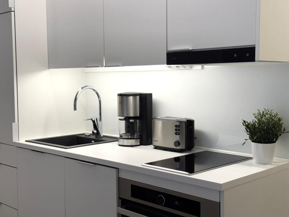 Flat With Central Location Apartment in Finland