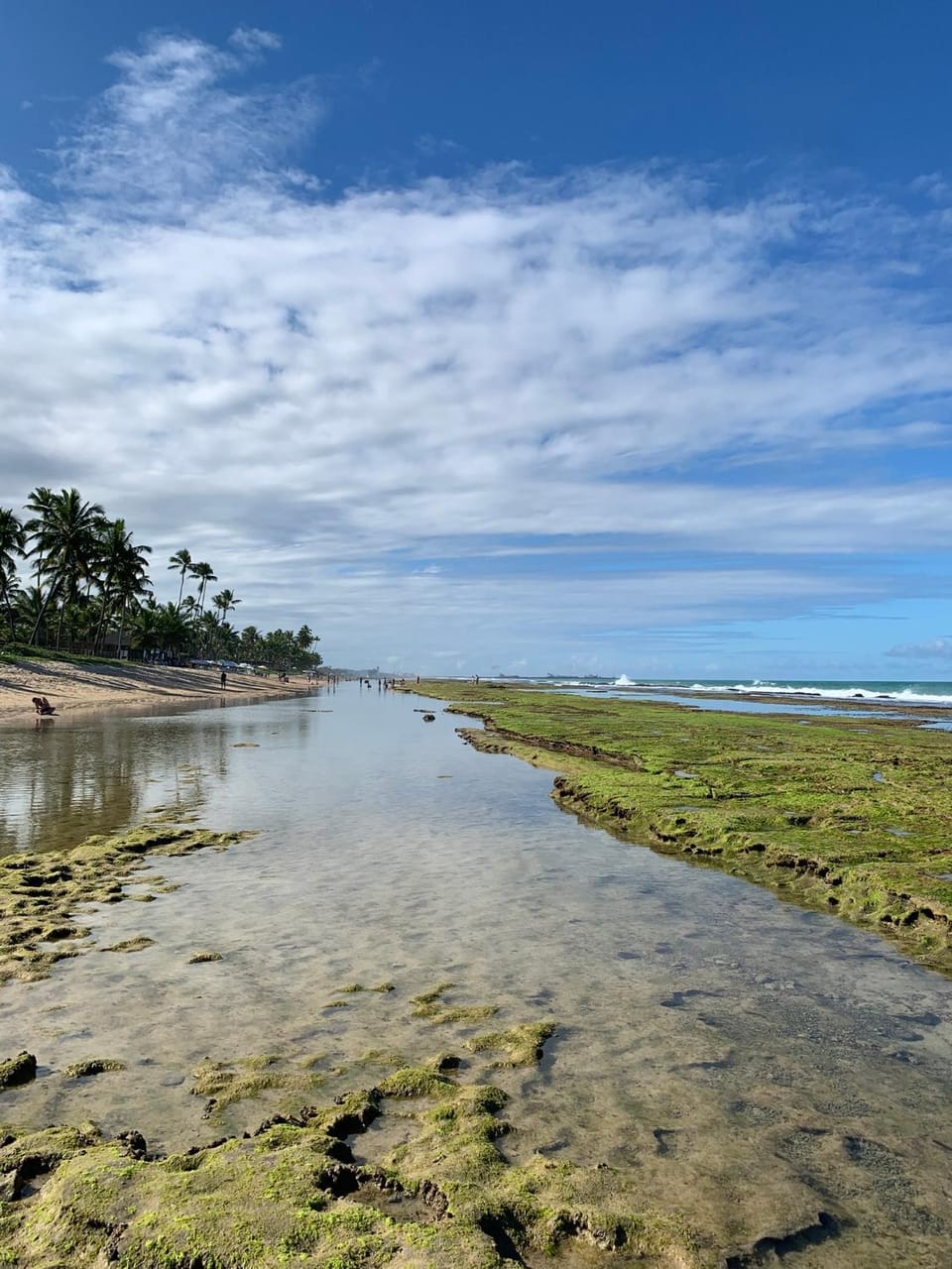 Marulhos Resort by HomeTemp Apartment in State of Pernambuco, Brazil
