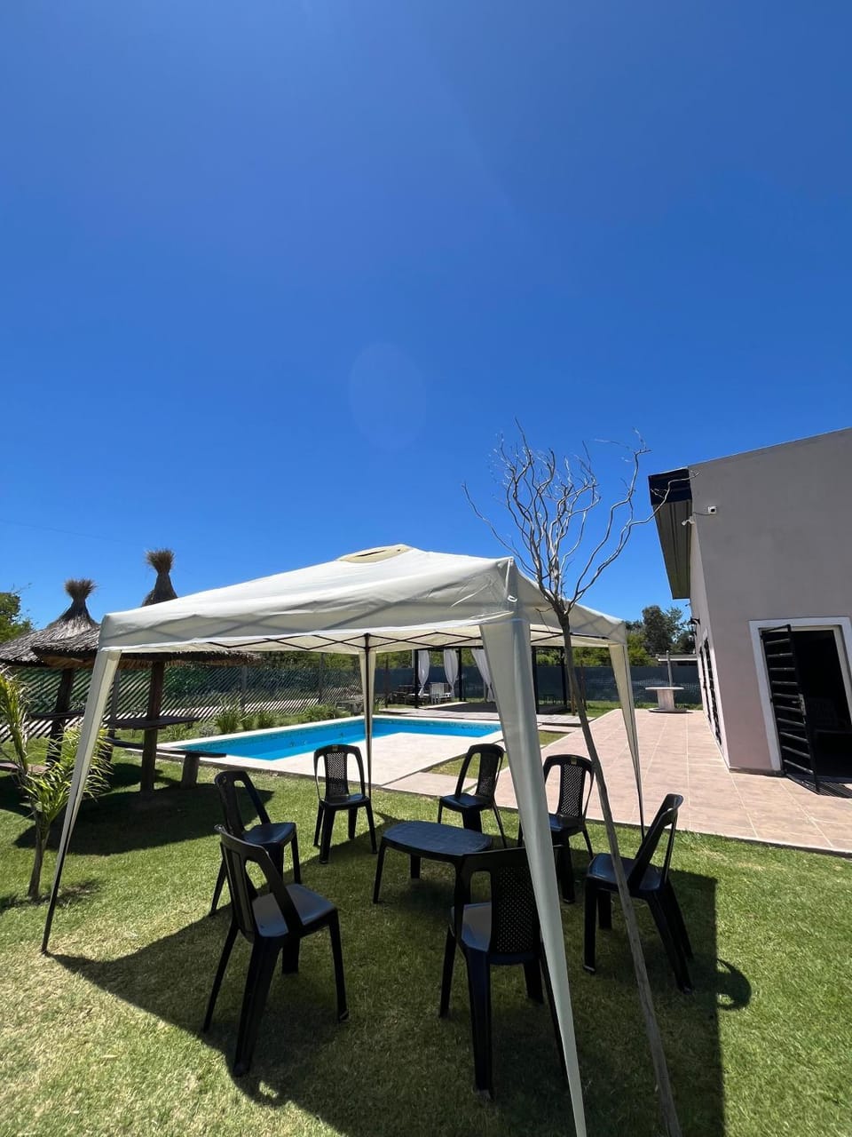 Patio, Garden, Garden view