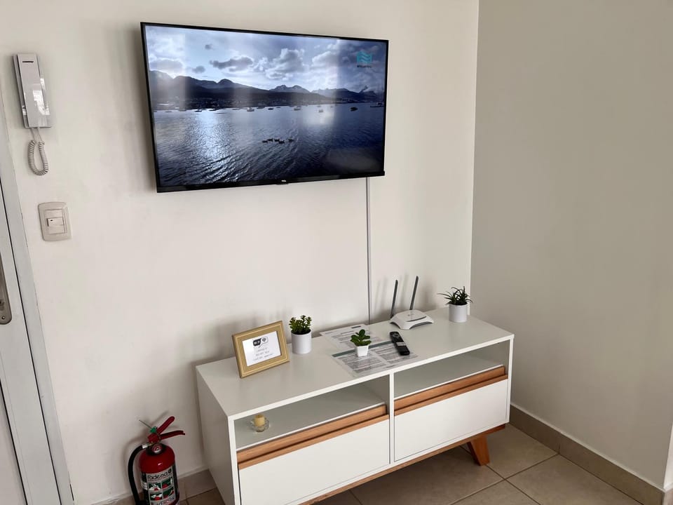 TV and multimedia, internet