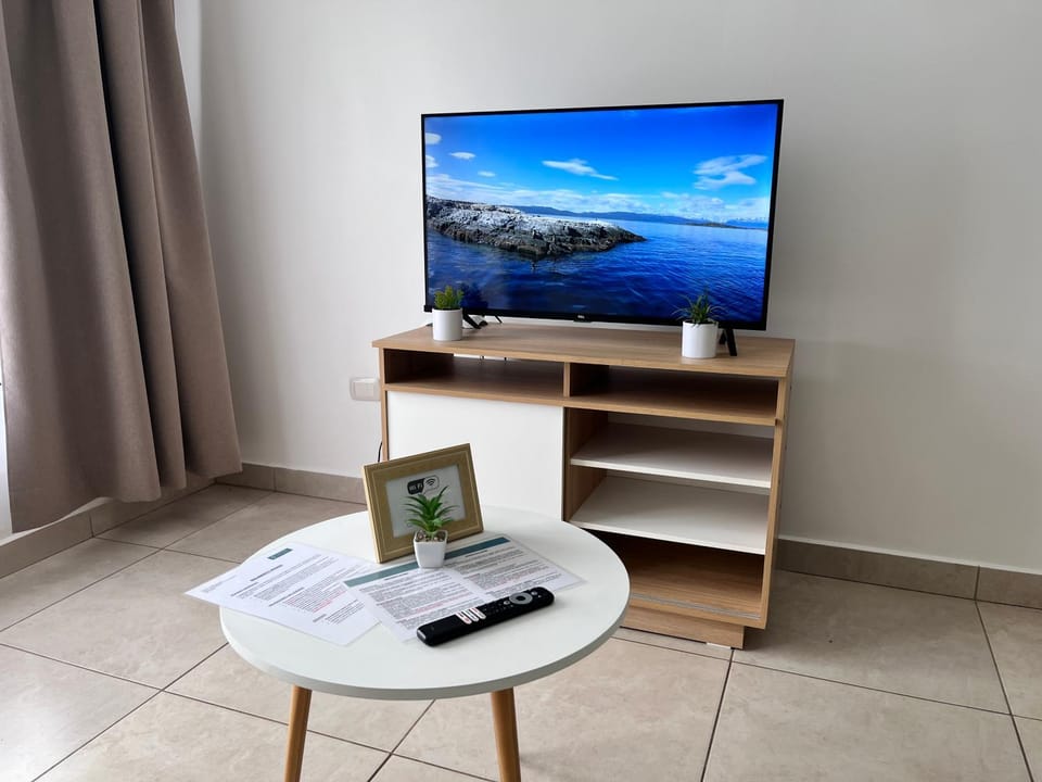 TV and multimedia, internet