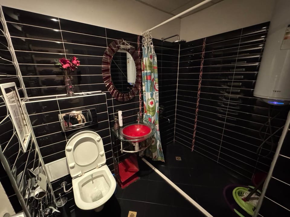 Ritz Apartment in Sofia