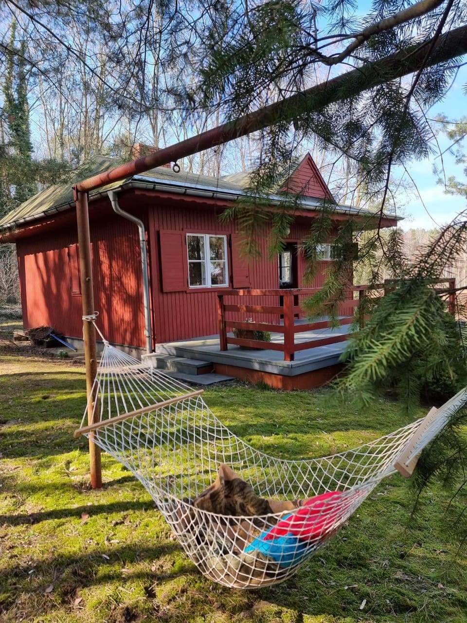 Property building, Day