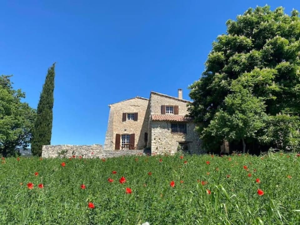 Property building, Spring, Day, Natural landscape, Garden, Garden view, Landmark view