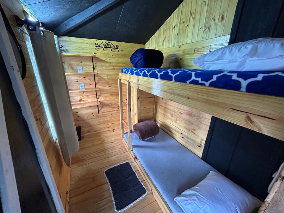 Bed, Photo of the whole room, Bedroom, bunk bed