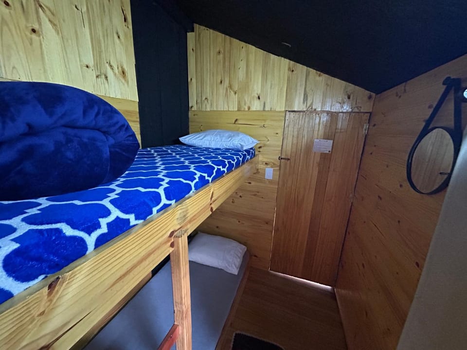 Bed, Photo of the whole room, Bedroom, bunk bed