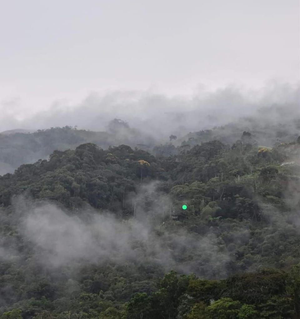Mountain view