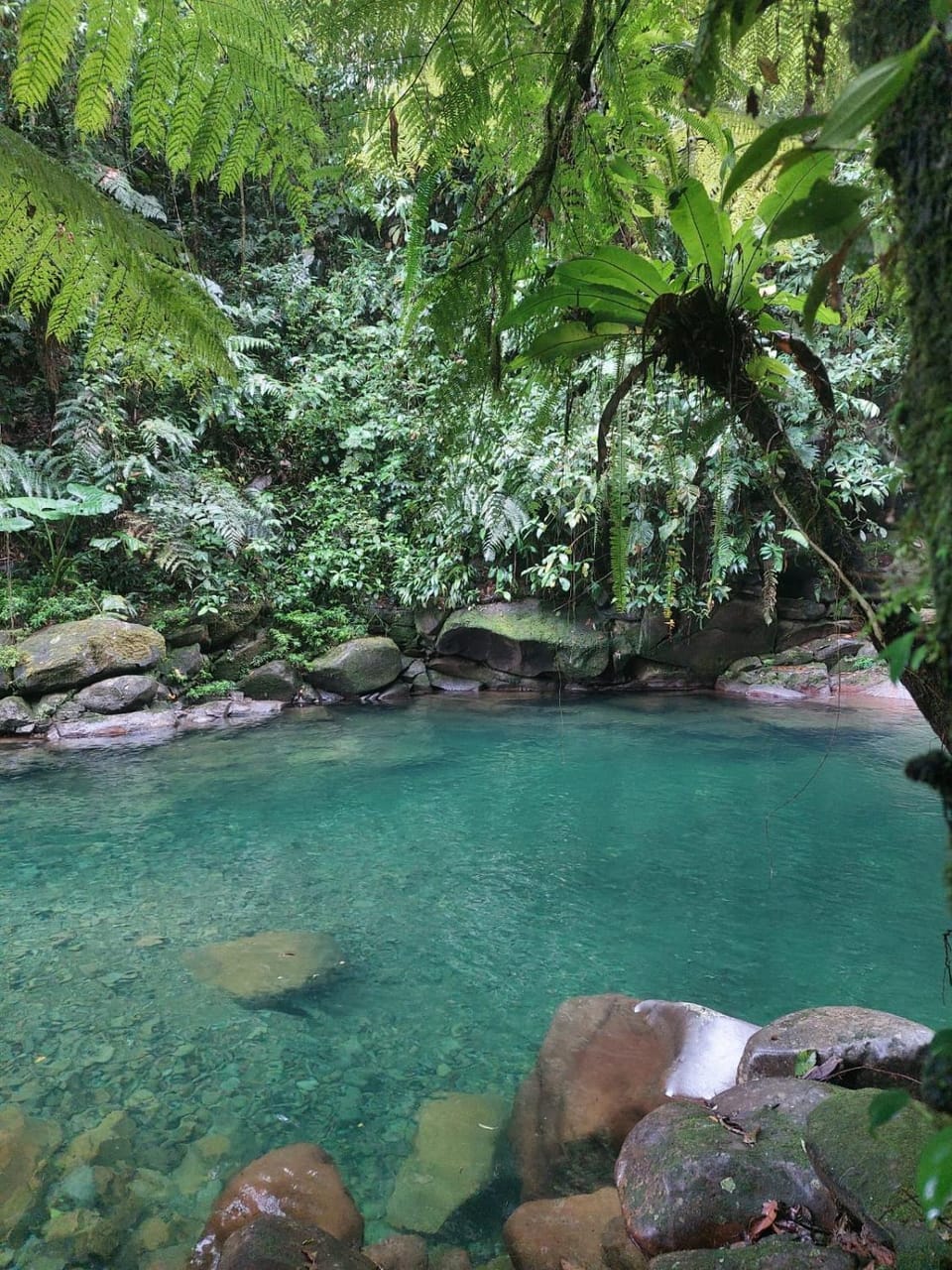 Refugio del Bosque Nature lodge in Cartago Province, Costa Rica