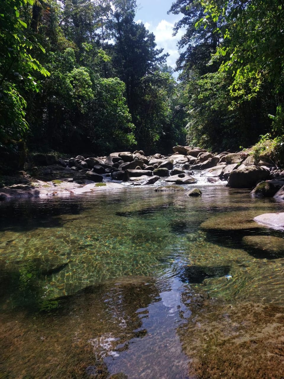 Refugio del Bosque Nature lodge in Cartago Province, Costa Rica