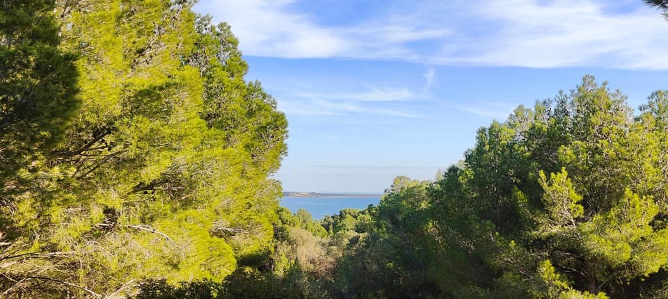 View (from property/room), Sea view, Sea view