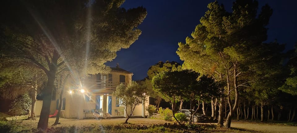 Night, Natural landscape, Garden view