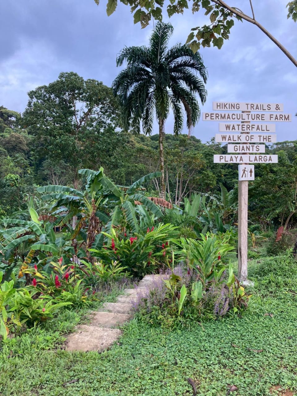 La Tierra Del Encanto Nature lodge in Bastimentos Island