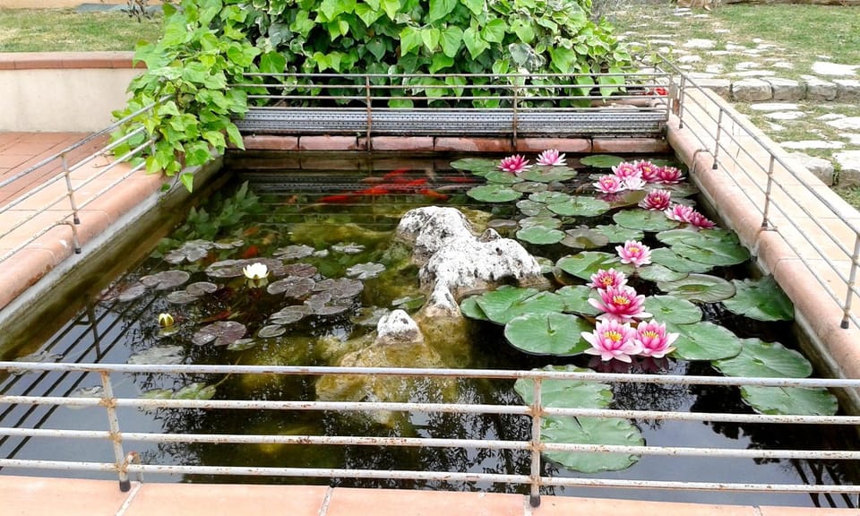 La Valle dei Gobbi Bed and Breakfast in Monsummano Terme