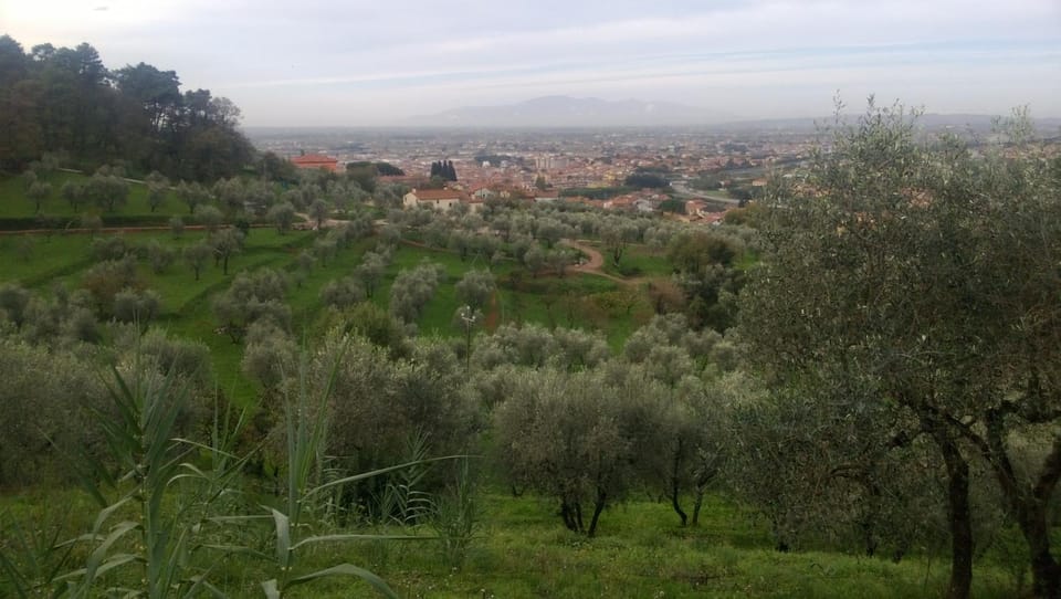 Natural landscape