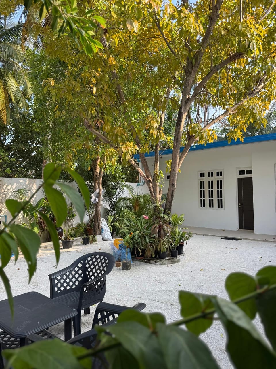 Sea View Bed and Breakfast in Maldives