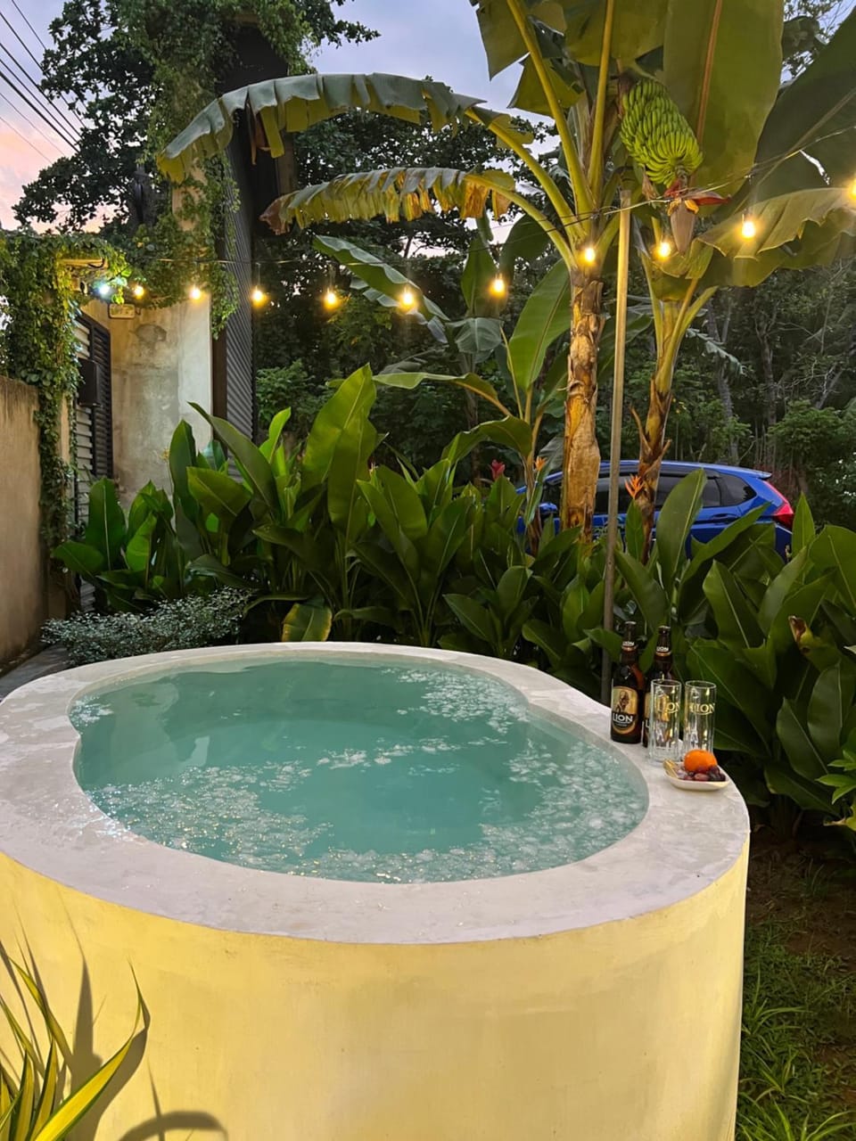 Day, Natural landscape, Garden, Garden view, Pool view, Swimming pool, Swimming pool, Bath