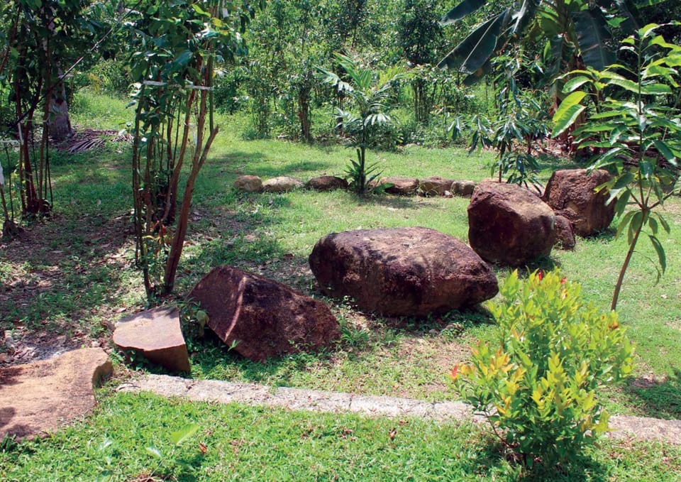 Natural landscape, Garden