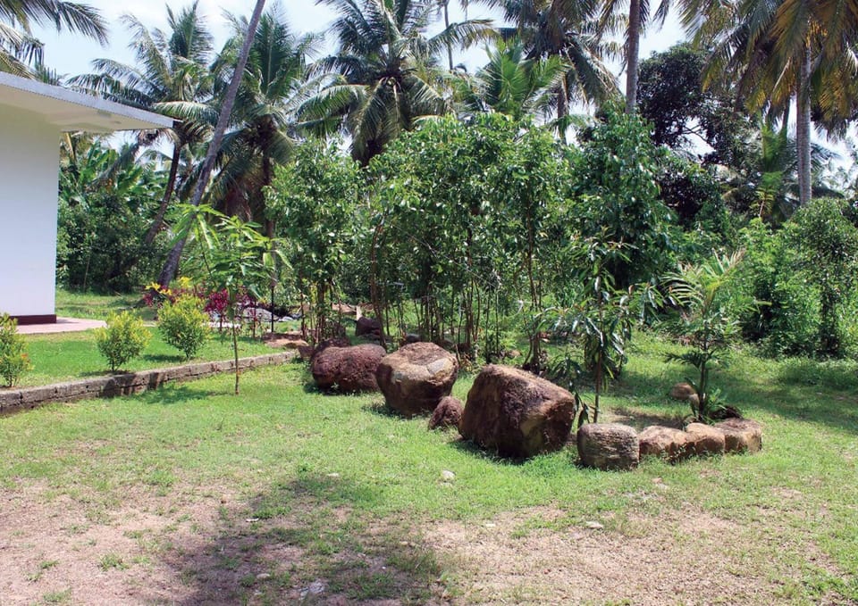 Natural landscape, Garden
