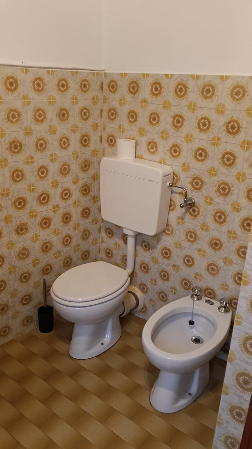 Toilet, bidet