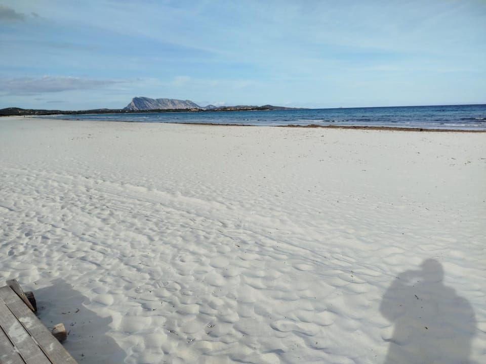 Nearby landmark, Beach