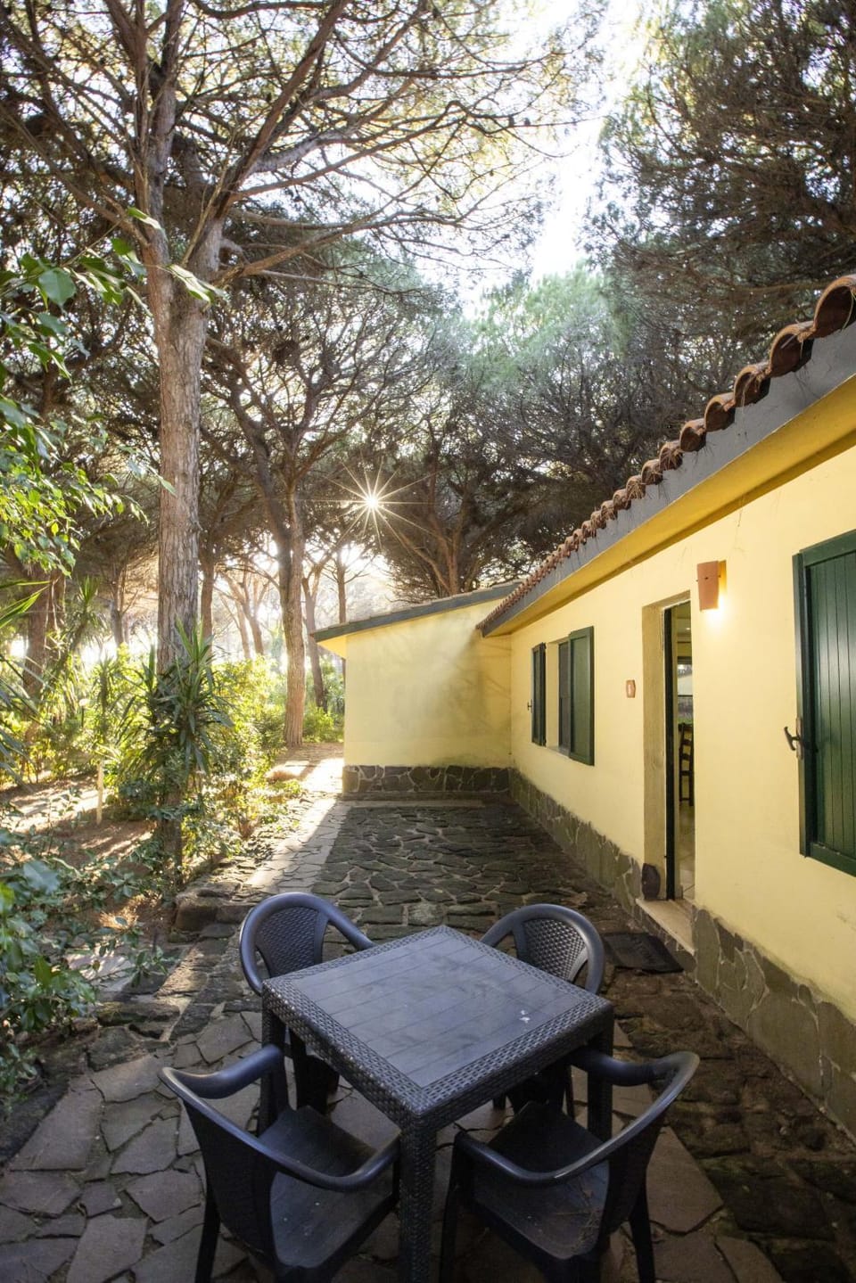 Property building, Facade/entrance, Spring, Winter, Summer, Autumn