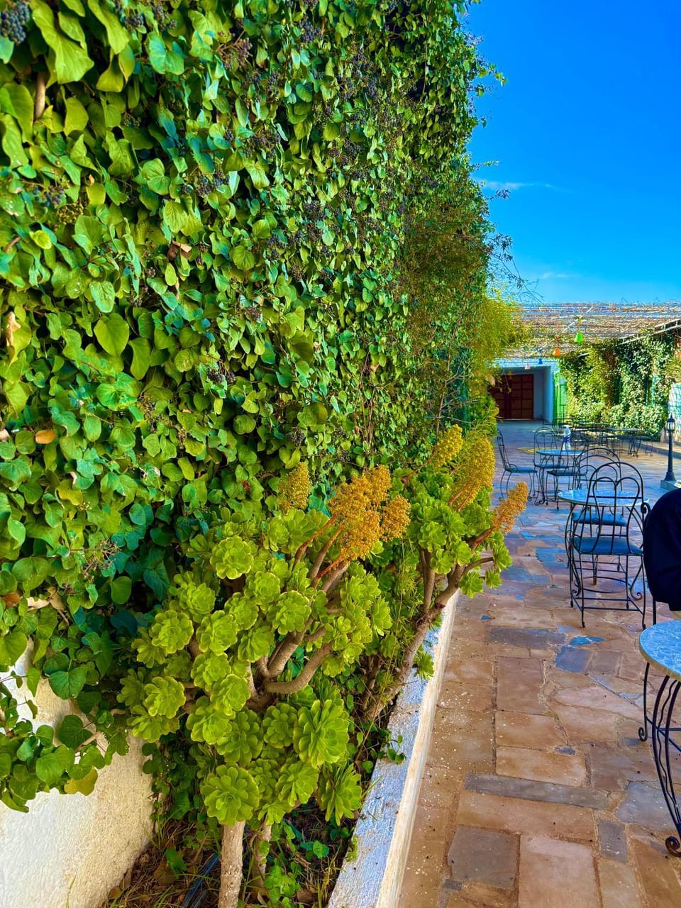 Garden, Balcony/Terrace