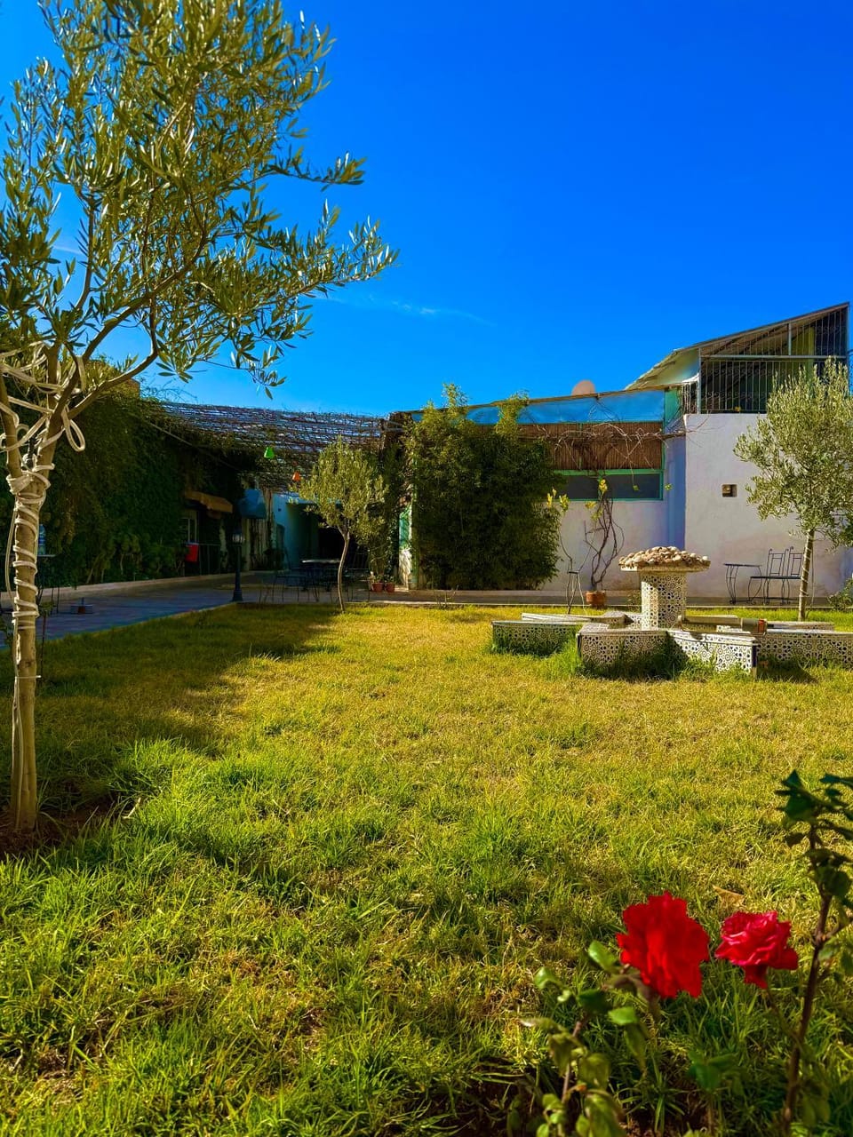 Garden