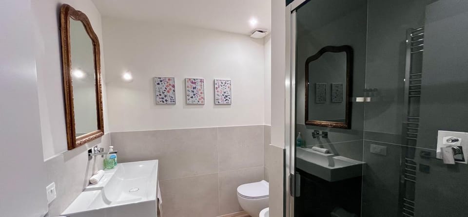 Shower, Toilet, Bathroom, towels