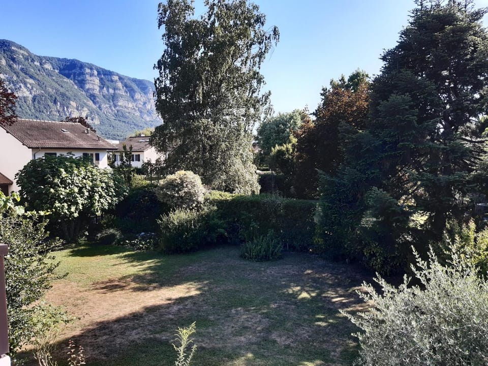 Garden, Garden view, Mountain view