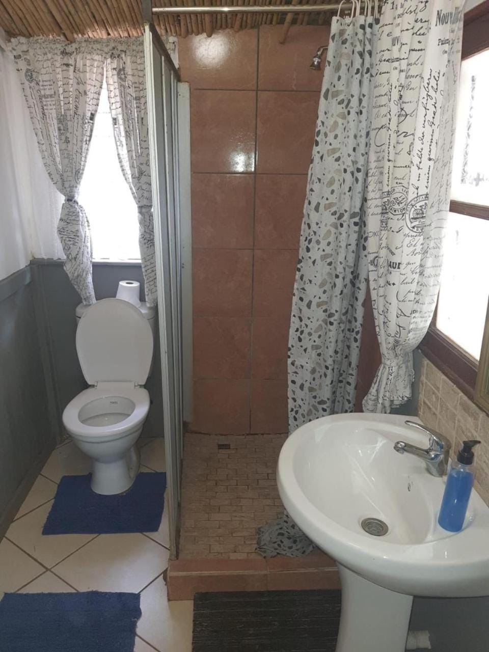 Shower, Toilet