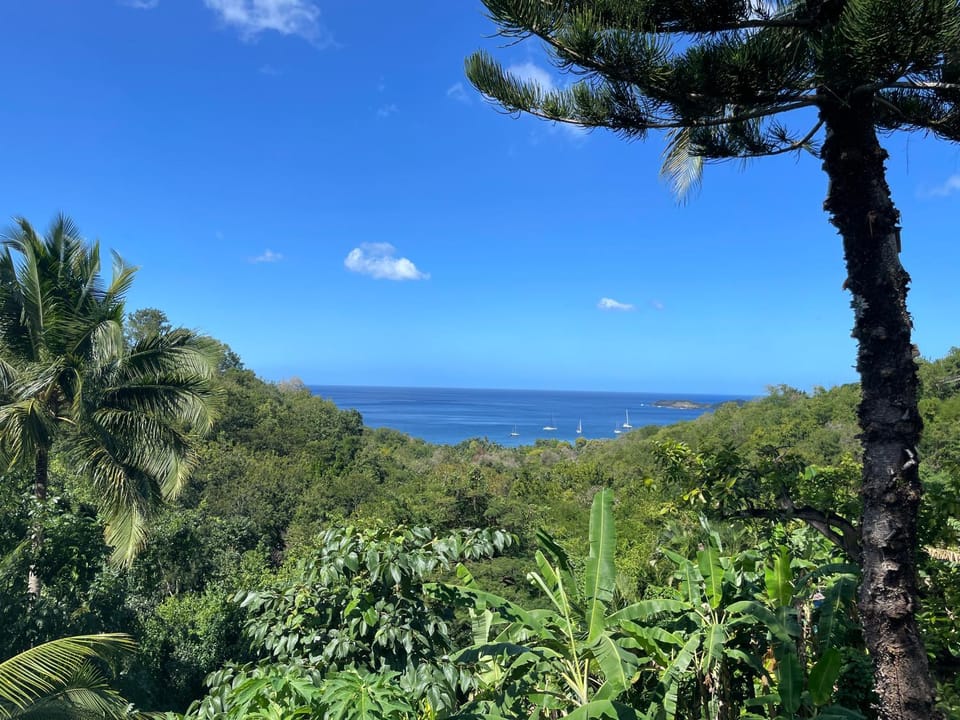 View (from property/room)