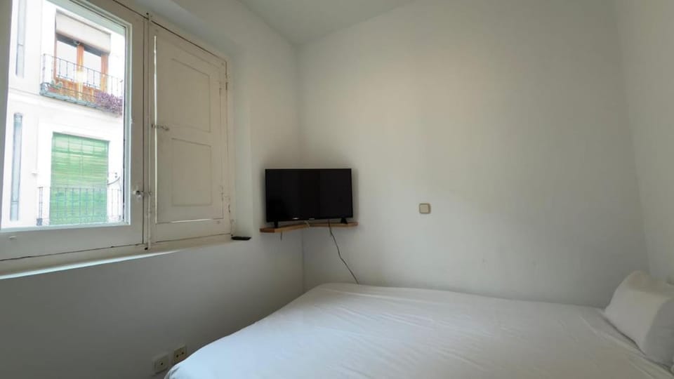 Bright Apartment in the Heart of Lavapies - B41 Apartment in Centro