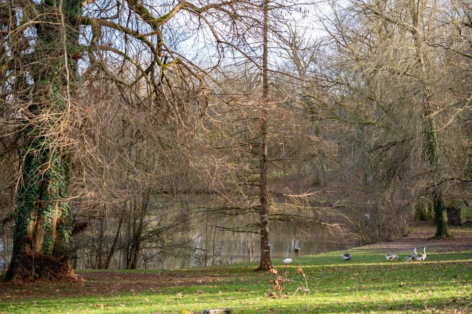 Lake view