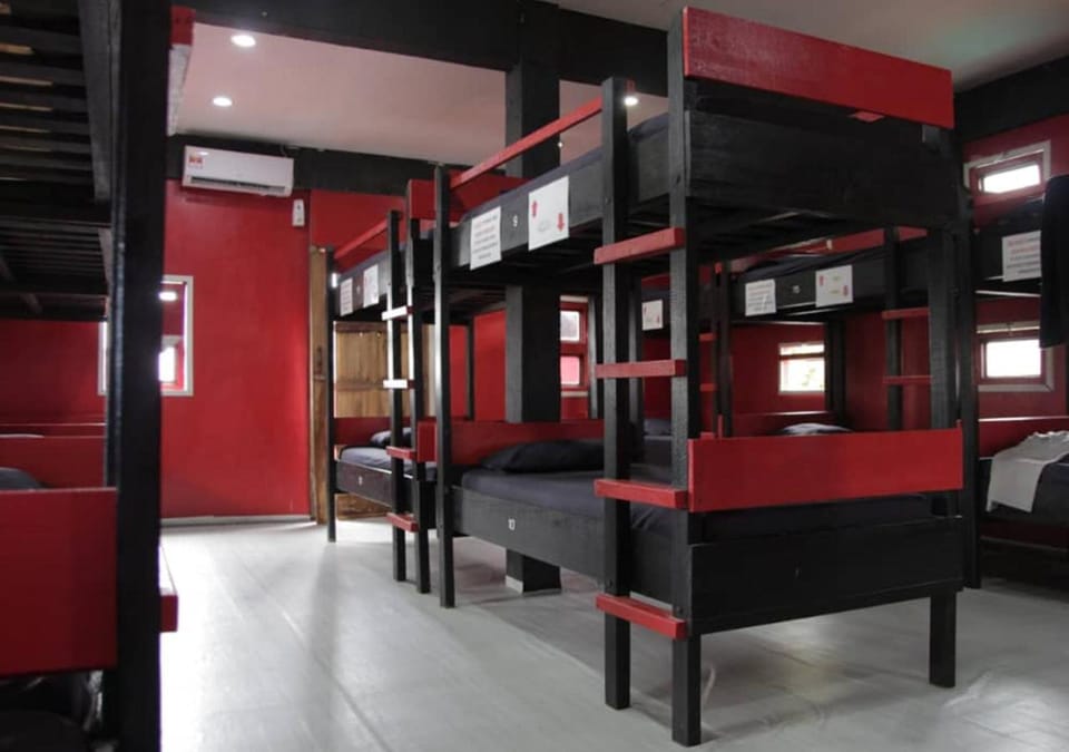 bunk bed