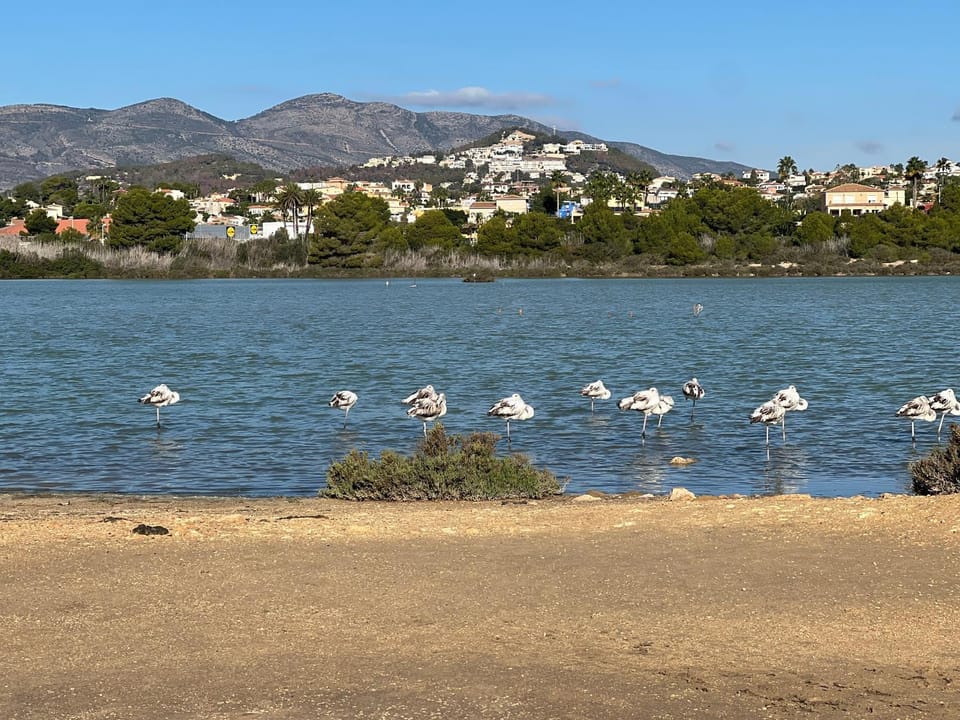 Lake view
