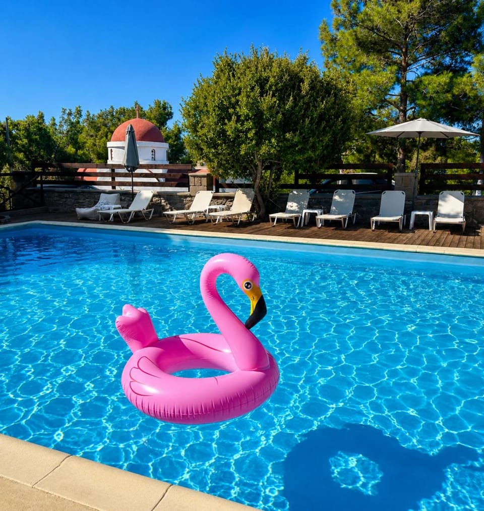 PETRINO Hotel Hotel in Decentralized Administration of the Aegean