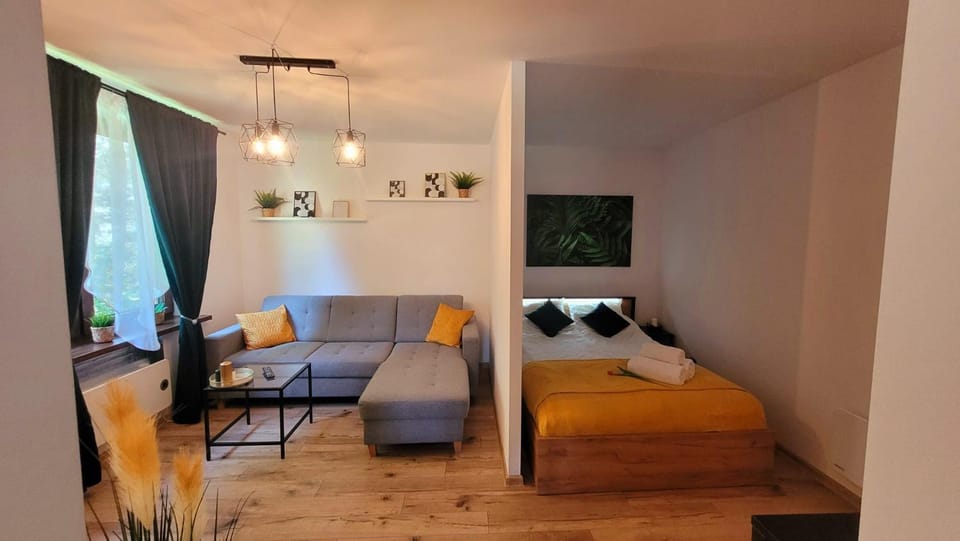 Bed, Living room, Photo of the whole room, Bedroom